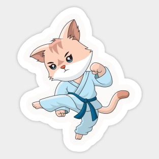 Taekwondo cute cat Sticker